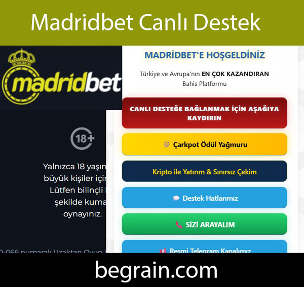 Madridbet canlı destek hizmetiyle oyuncularının yanındadır.